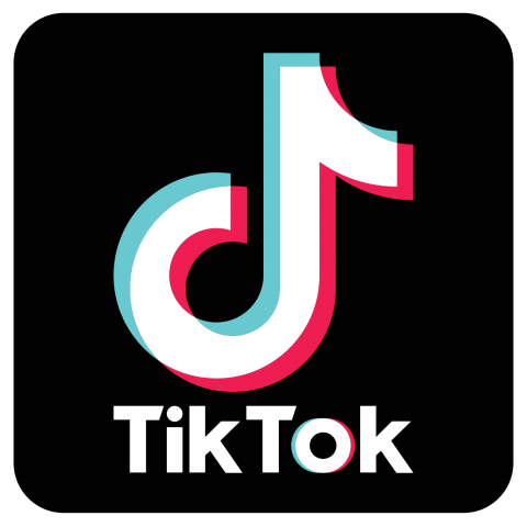 TikTok-Logo.wine_-1024x683